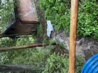 IMG_9776 (768x1024).jpg